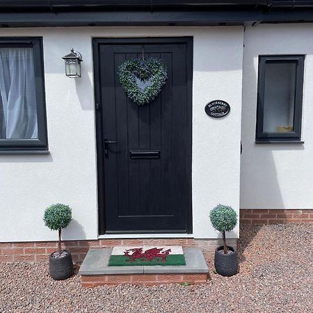Blackberry Cottage Cardiff Luaran gambar